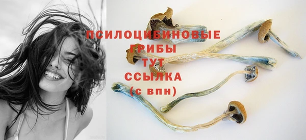 apvp Бронницы